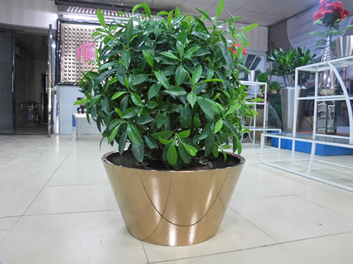廣東汕頭不銹鋼花盆哪家做的好？